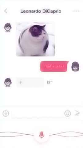 自动攻击网站工具下载